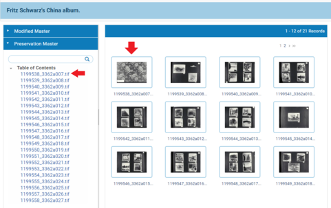 Tif tutorial 4.PNG